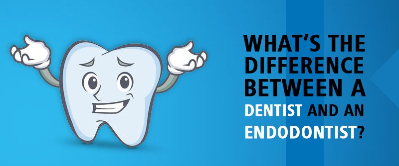 What’s the difference between a Dentist and an Endodontist